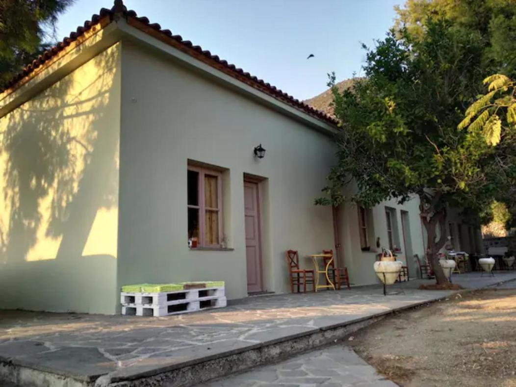 Arsinoe - Cosy Guesthouse- Méthana Dış mekan fotoğraf